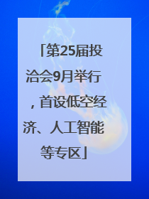 第25届投洽会9月举行，首设低空经济、人工智能等专区